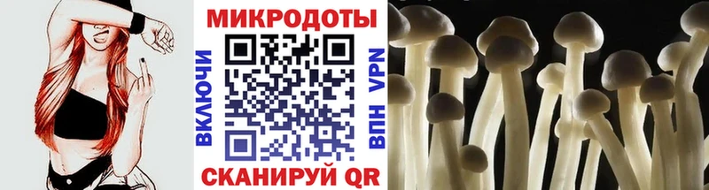 купить наркотики сайты  Новошахтинск  МЕГА зеркало  Галлюциногенные грибы Magic Shrooms 
