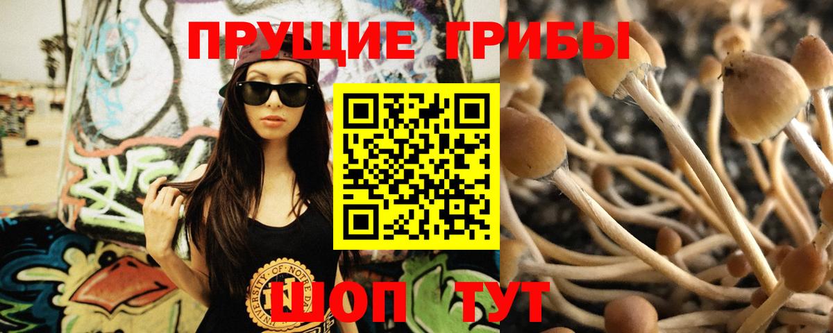 Новошахтинск  Галлюциногенные грибы ЛСД  Вход с VPN 