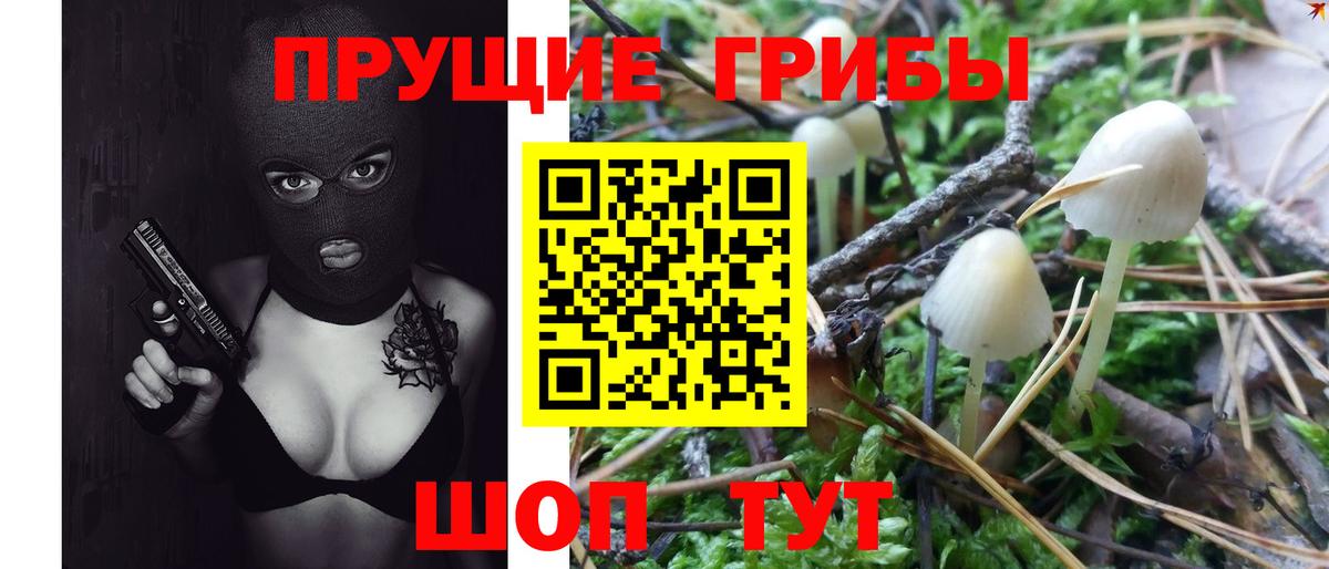 Псилоцибиновые грибы Magic Shrooms Новошахтинск