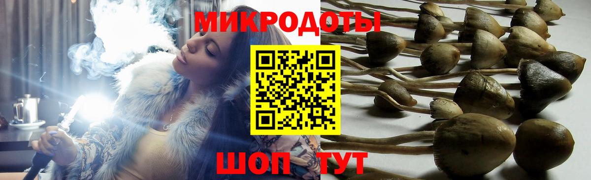 Псилоцибиновые грибы Magic Shrooms  Новошахтинск 