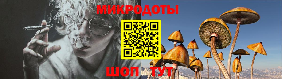 Псилоцибиновые грибы мицелий Новошахтинск